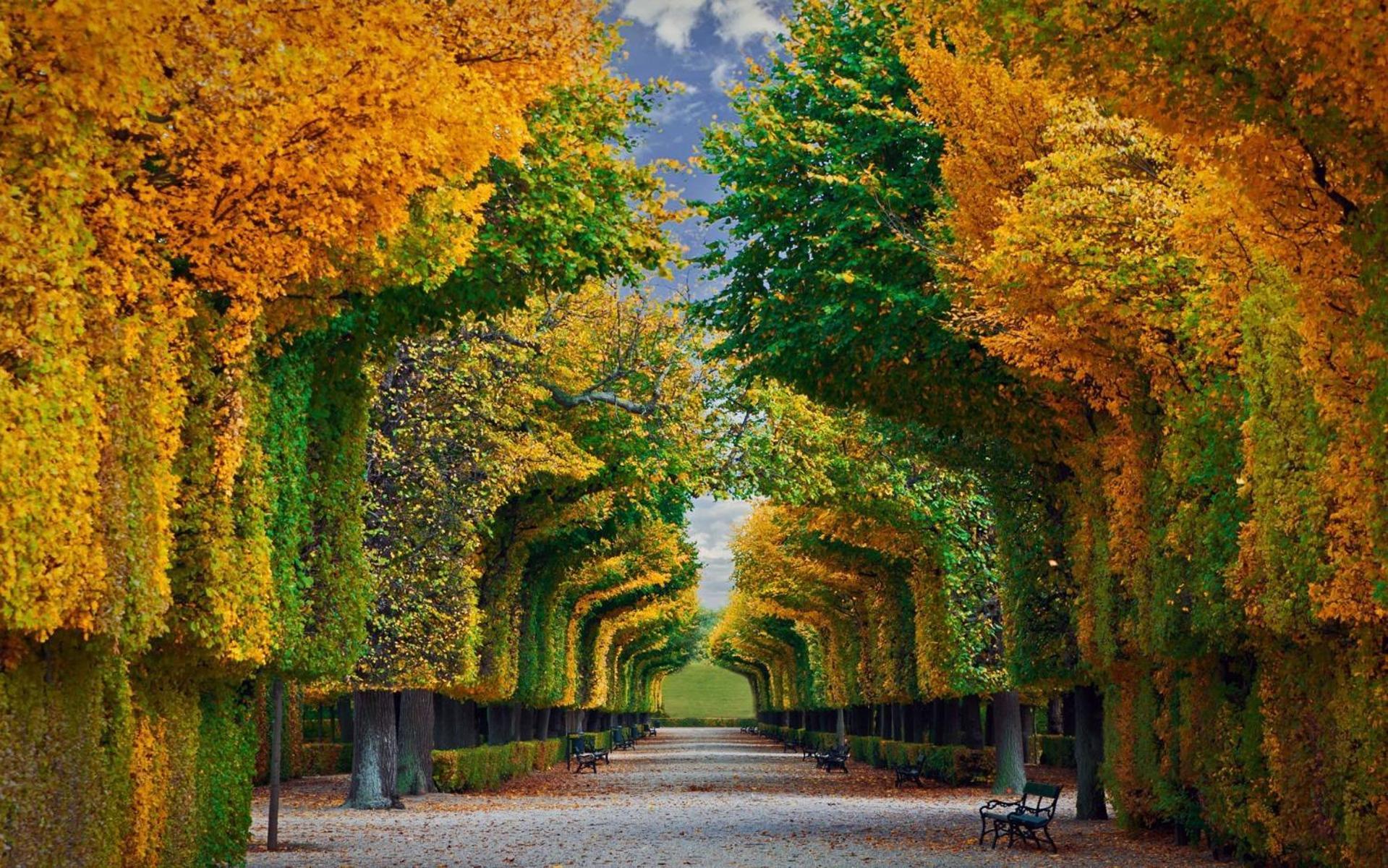 Regal Retreat Intimate Elegance Near Schoenbrunn Palace Vienna Exterior photo